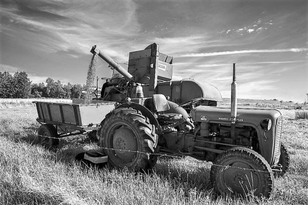 Massey Ferguson 35 & Fahr
Avainsanat: Fahr MasseyFerguson