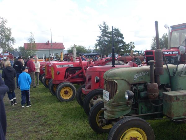 Traktoreita
2014 Jokelan vanhan ajan päiviltä
Avainsanat: David brown