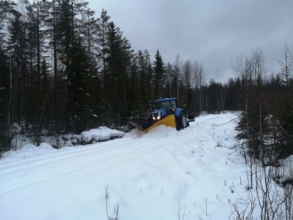 mehtäteiden aukasua ennen joulua
