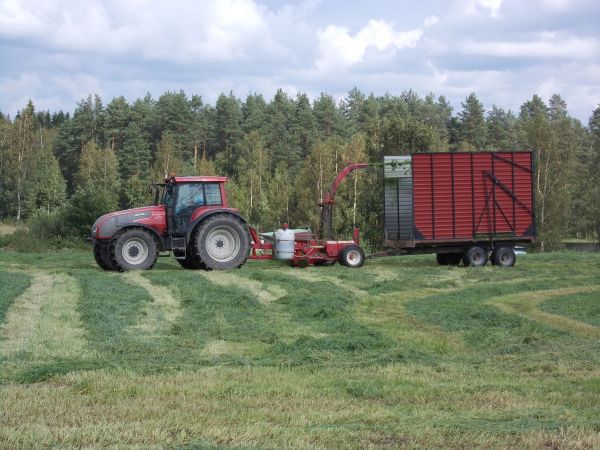 Valtra T170&JF 900 ja VELSA 120
Viime kesäsiä rehuntekoja. Sadepilviä taustalla,ei kerinnä tehä kunnolla mittää ku aina tul vettä ku saavista kaatamalla...
Avainsanat: jf 900 t valzu raippia