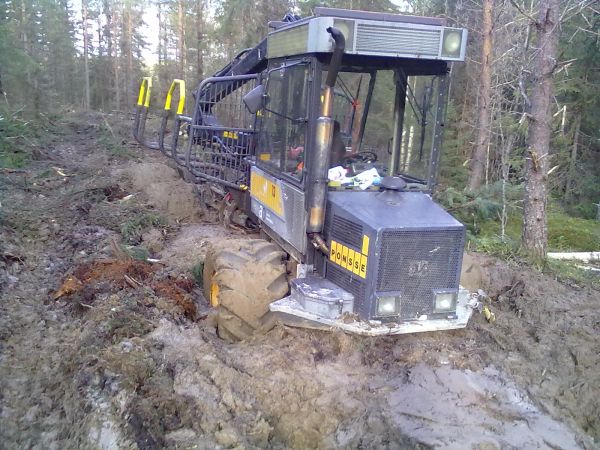 Koulun ponsse
Koulussa häröilyä.. Telat ois auttannu varmaan ja havut.
