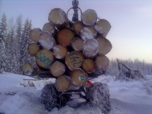 Koulusta 
Joskus kouluajoilta, sorvitukkia kuormallinen. Ponsse caribou.
