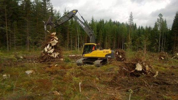 Kannonostoa
Kuulemma korkeammissa kasoissa kuivaa paremmin.. 
