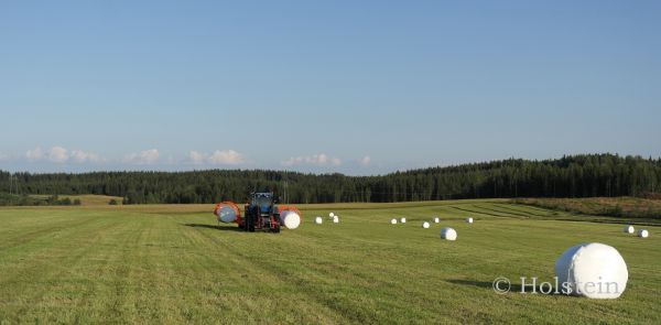 Rehua 2013
II satoa
Sattumat pellolta kyytiin ja laaniin
Avainsanat: rehu paali siirto rahti