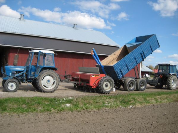 Viljan kylvinkoneen täyttöä
Ford 6600 ja tume sekä kärrin edessä Ford 6410
