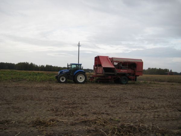 Tärkkelysperunan nostoa
New holland T5.115 ja kverneland underhaug 5300
