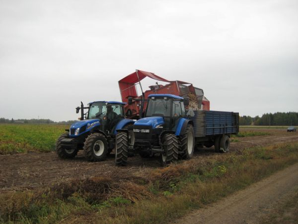 Perunakoneen säiliön tyhjennys.
T5.115 ja kverneland underhaug 5300 perunannostokone tyhjentämässä varastoon nostovaunuun. jota vetää TM 120 new holland.
