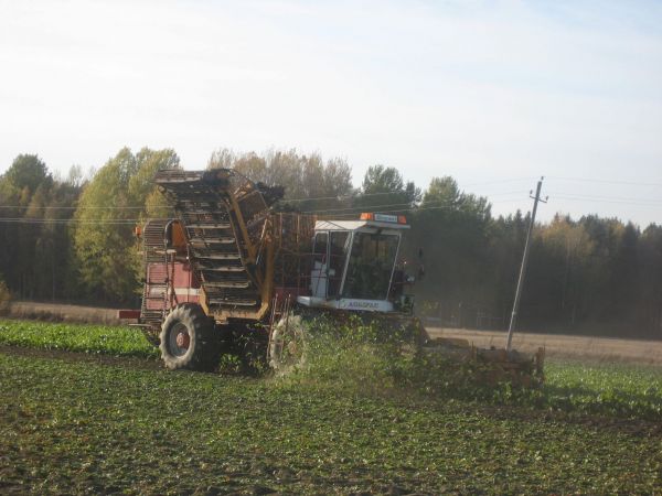 Sokeri juurikkaan nostoa nostoa 
Agrifac ZA 215 EH
