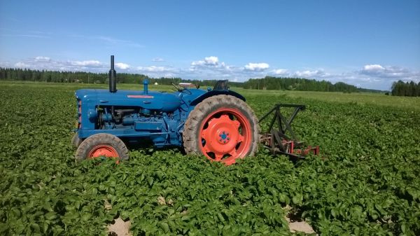 IPM kasvinsuojelua
Fordson super major ja peruna hara
