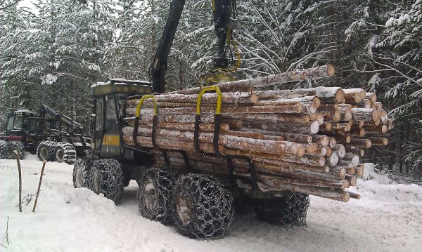 Ponsse S10
Ehdottomasti parhain oma tekemä kuorma ikinä ^^ Kyllä olis varmaan lisääkin mahtunut mutta tulee sen verran takapainoseks toi ja sit ei käänny kone hyvin.
Avainsanat: Ponsse S10 kuorma