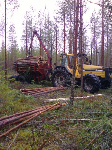 alakkaa käyä vanahaksi meijän yhistelmä urakointiin:)
kertyy sitä laania tälläki 915 ja hakki
