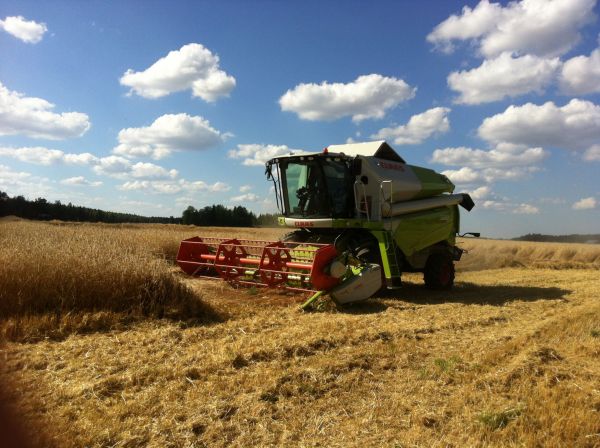 Claas
Ensimmäiset puinnit 2015 ruista
