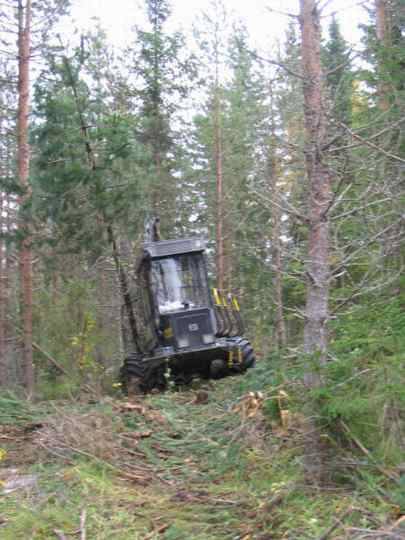 Puuta nurin 1
Näin meillä jämsänkosken pölliopistolla. :P
