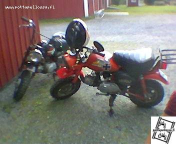 honda monkey z50j '85 ja '96
"pieniä" muutoksia vuosimallien välillä... kuva räpsästy 7250 nokialla
Avainsanat: valtra s 280