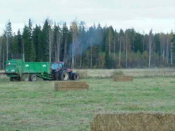 tebbe (töppö) 160  ja vaikutus.
