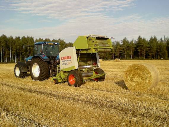 TM120 RC ja Claas 255
Oljen paalausta.
Avainsanat: new holland tm120 claas