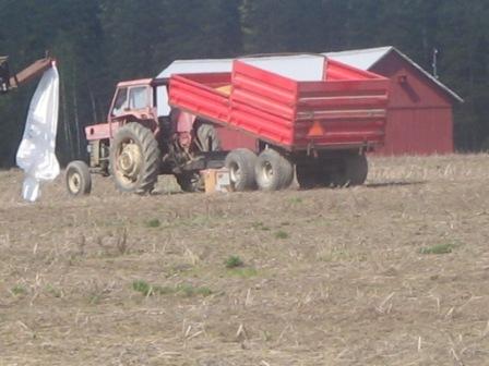 Massey Ferguson 165
Verku siemenkärryjen eressä
Avainsanat: Massey Ferguson 165