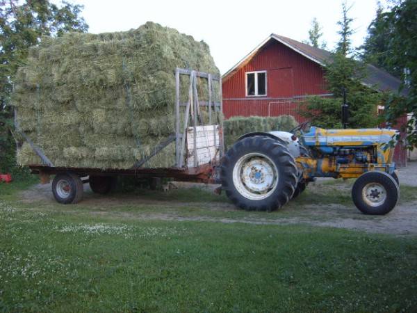 Ford 5000 +pitkäesa
ei se fooooordi turhan isolta näytä heinäkuorman edessä..
Avainsanat: ford