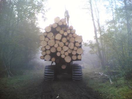 1410
mukavasti menee tukkia kyytiin.
Avainsanat: timberi