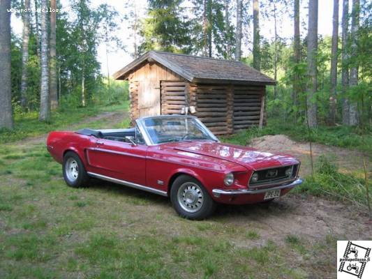 Mustang
Käväsi serkkupoika kesällä ponillaan kylässä
