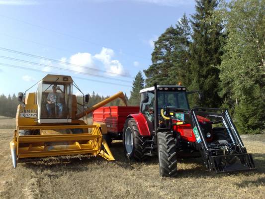 Sampo 580 ja Massikka 5470. Hyvälaatuisen ohran puintia.
Ohrat Velsaan.
Avainsanat: Sampo Rosenlew Velsa Ohra Saana Massey Ferguson 5470