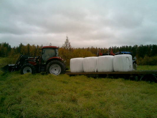 case kokeiluissa
paaleja ajamassa maxxum 120.ts 90 lastaa
