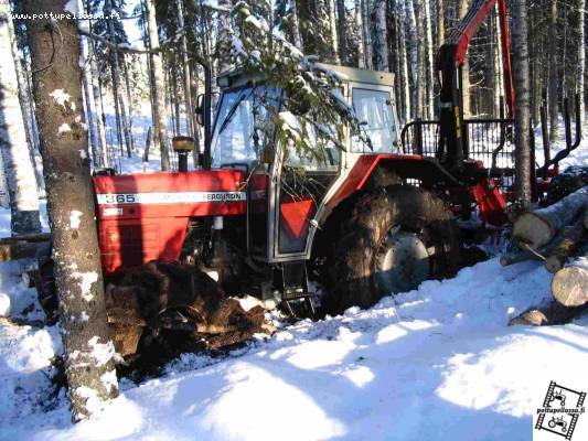 Metsälelu kiinni
MF 365 ja Patu upoksissa
Avainsanat: upoksissa