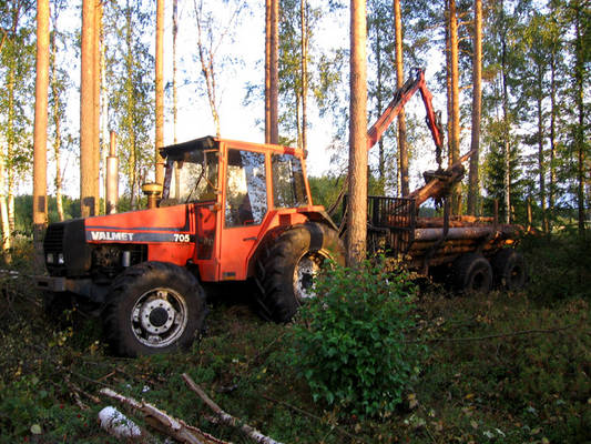 Valmet 705 metsätöissä
Metsäyhdistelmä: 705 ja Tempon kärry.
Avainsanat: 705 tempo metsä