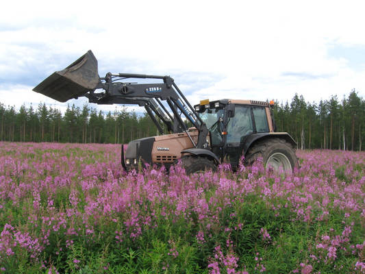 8150 uutismaalla
Penkkojen tasausta
Avainsanat: 8150 uutismaa