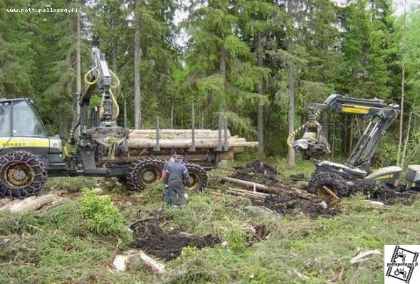 Beaver jumis, Bison ei
Avainsanat: bibe