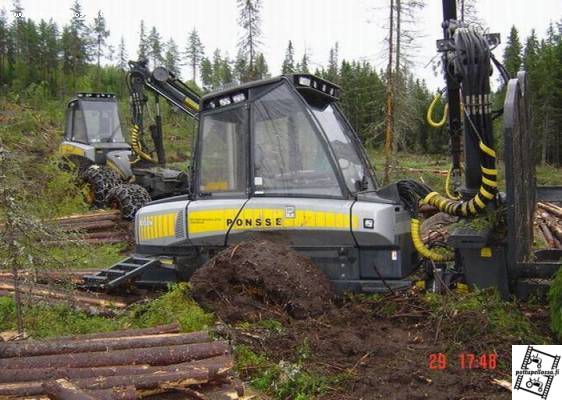 Bison upoksis ja Beaveril vedetää
Avainsanat: beaver