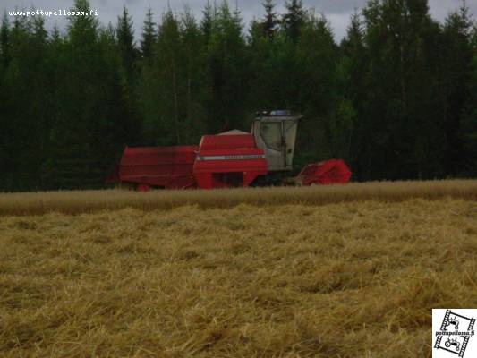 massey ferguson 16
Naapurissa oli puimassa
Avainsanat: massey ferguson