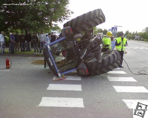 Valtra makoilee lämmössä.
Avainsanat: vallu