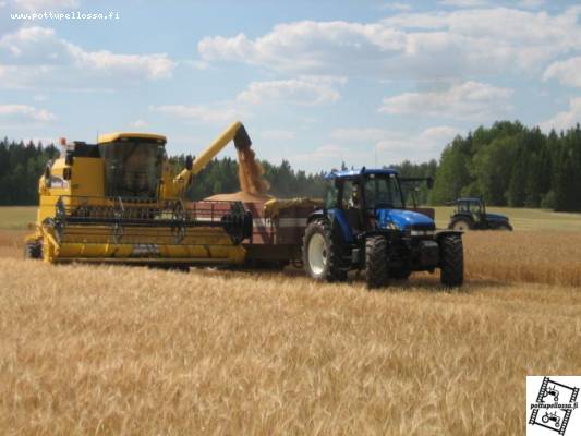 New Holland TC56rs ja NH TM155
syysvehnän puintia
Avainsanat: New Holland