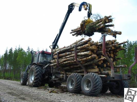 Koivukuormaa hakemassa
case, moheda500 ja evi...
