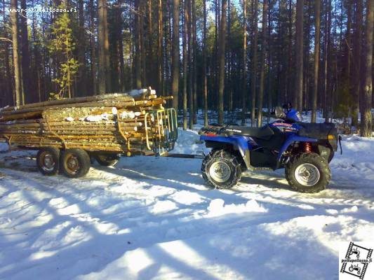 Polle 600 & kärry
Pikkunätti kuorma polttopuuta
