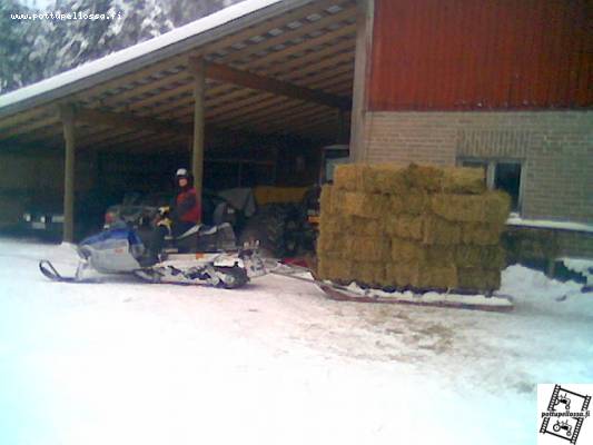 Arctic Cat Bearcat ja kuskina Dille
Heinänhaku reissulta tulleena 25 paalin annos sopi vanhan hevosrekeen kyytiin (kuvan huononlaadun takasi nokia)
Avainsanat: Arctic Cat Dille