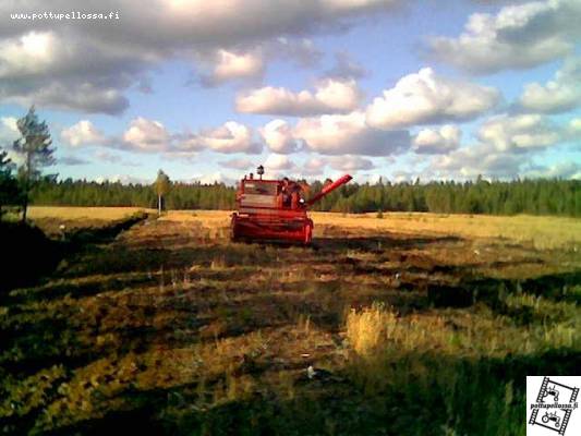 puintihommia...
siinäpä sitä Massikan 206:nen saa käskyä RANKALLA KäDELLä!!!
Avainsanat: Mf206