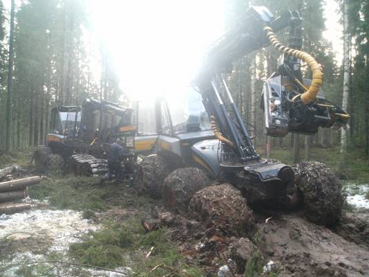 Beaver ylös Elkillä
kuva otettu n93, pehmeä reikä se oli.
