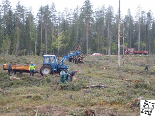 Ford, Deutz Fahr ja MF samoilla apajilla
Moton jäljiltä puita keräämässä
Avainsanat: Ford Deutz-Fahr Mf