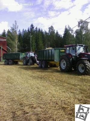 Tuommoisil ajettii eile viljaa
Valtterit T190 & M150, Multivat TR210 & TRM180. Puimurina on 310 Medion
Avainsanat: Valtra Multiva