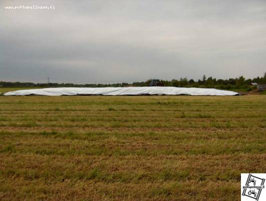 Auman tekoa, taustalla NH 6640 (näyttää pieneltä)
aumalla pituutta 36m ja leveyttä noin 9m. Piti laittaa pari 12*25 muovia peräkkäin
Avainsanat: rehu auma