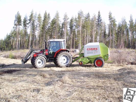 MF 6255 ja Claas 255
Ruokohelpiä paaluun aikaisin aamulla...
Avainsanat: MF 6255 Claas 255