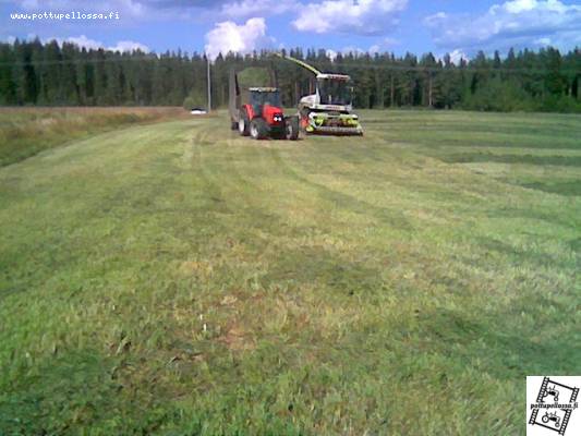 claas jaguar 682 ja mf 4245
2 rehun tekua. aika hyvin näytti heinää olevan vaikka kuivaa on ollu... 
Avainsanat: claas jaguar 682 ja mf 4245