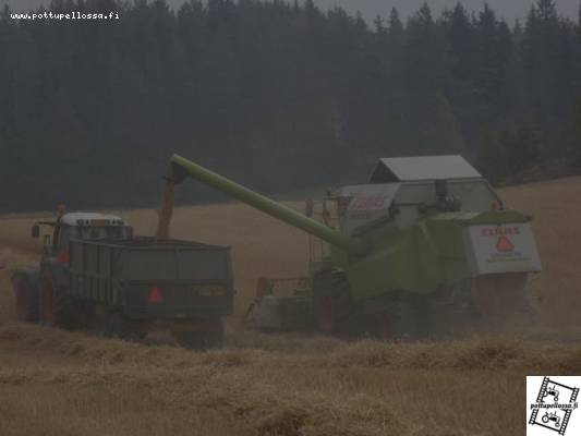 Tyhjennys vauhdissa
Claas Medion 310 tyhjentää vauhdissa,kuormaa ottaa Fendt 818 Vario ja Multiva TRM150.
Avainsanat: Claas Medion Fendt Multiva