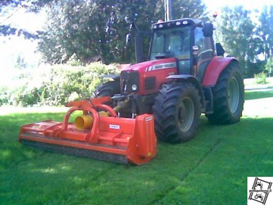 mf 6480dyna-6 ja Maschio
Nurmikon leikkuuta
Avainsanat: dyna-6