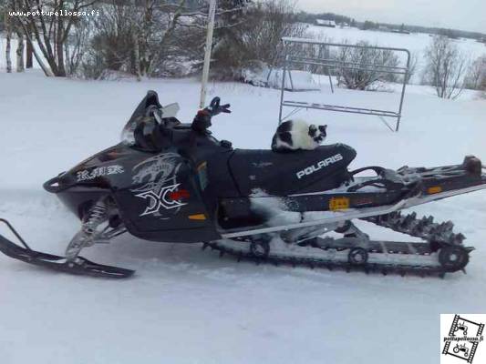 polaris
polaris rmk 900 dragon. tällä luulis pääsevän...
Avainsanat: polaris dragon