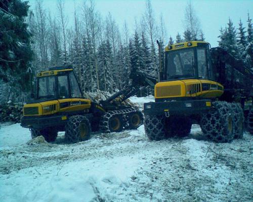 beaver ja elk
laanilta..
Avainsanat: elk beaver