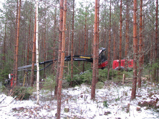 Valmet 901.3
Valmet 901.3. Hakkuupäänä Nisulan poikien tekemä, valmetin teipeillä oleva 330Duo. -07 ja 2600h keretty rullailla. Joutuu vähän kikkailemaan kun 12m päästä urasta ottaa puuta. ;)
Avainsanat: Valmet 901.3 901 Moto Metsäkone Harvesteri Nisula 330 330Duo