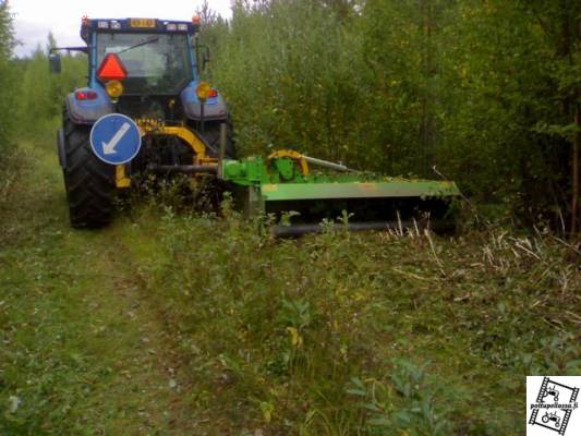 Cabe 250 ja T170
Metsäautotien varsia etsitään pajukosta
